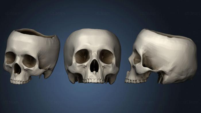 3D model Skull 32 (STL)